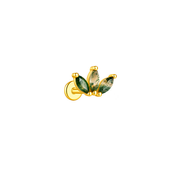 Magnolia